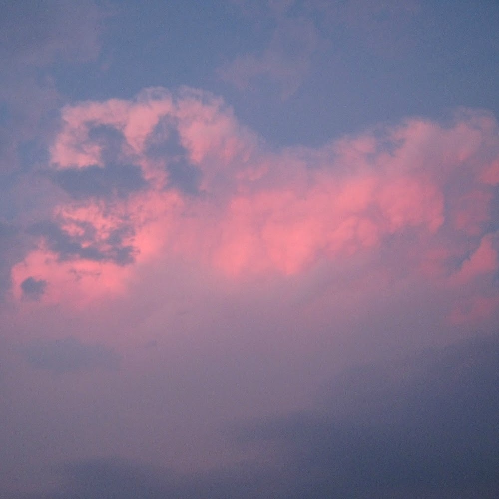 Meet your Posher, Sophie